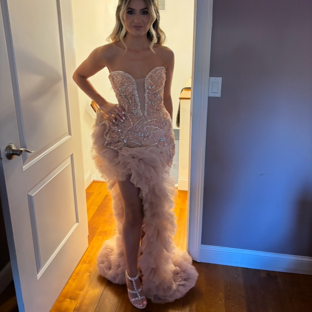 Albina Dyla Couture Beaded Nude Gown with Feathered Detail – Custom Designer Dre - Picture 3 of 4